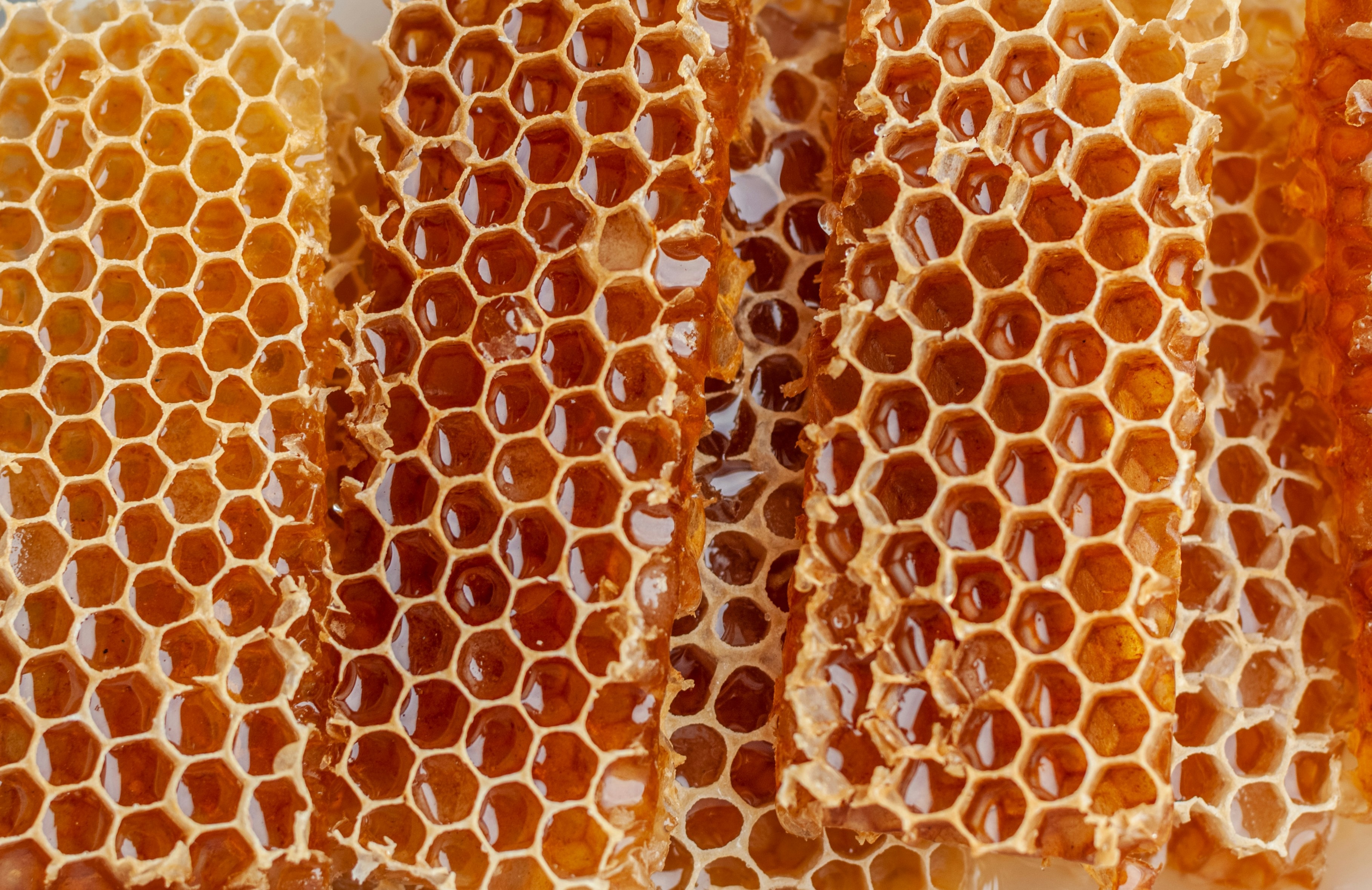 Premium Natural Honey